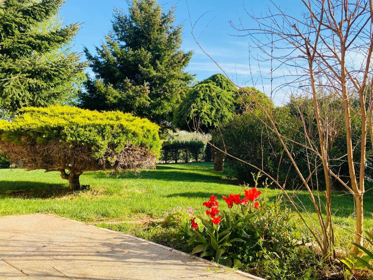 Casa Cino Daire Umag Dış mekan fotoğraf