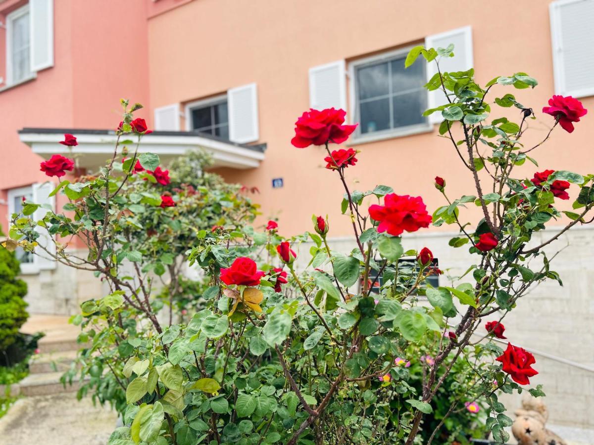 Casa Cino Daire Umag Dış mekan fotoğraf
